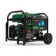 GENERADOR NATURA 6000 GAS PROPANO -GASOLINA 230V E-Start