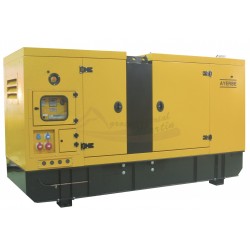 GENERADOR ELÉCTRICO 44 KVA AY-1500-40 IVECO INSONORIZADO - AYERBE MOTOR FPT IVECO