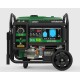 GENERADOR NATURA 6000 GAS PROPANO -GASOLINA 230V E-Start