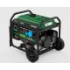 GENERADOR NATURA 6000 GAS PROPANO -GASOLINA 230V E-Start