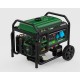 GENERADOR NATURA 6000 GAS PROPANO -GASOLINA 230V E-Start