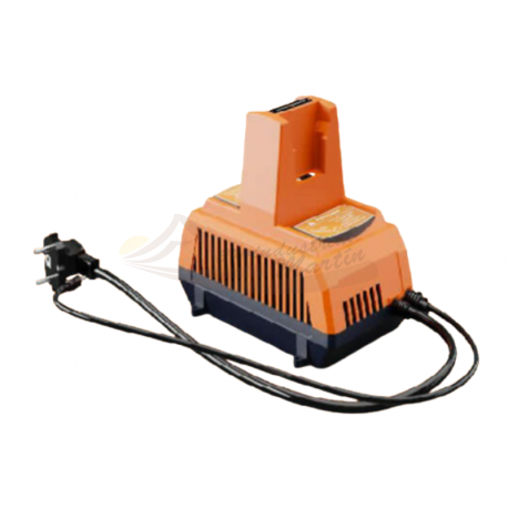 CARGADOR MC-2H - GENERGY