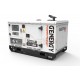 GENERADOR GENERGY GDS14M 14KVA 11KW 230V DIÉSEL - 20015